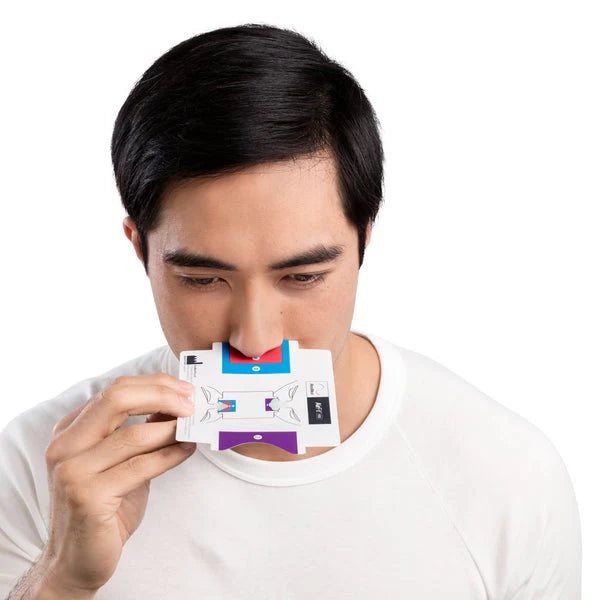 ResMed AirFit P10 Nasal Pillow CPAP Mask
